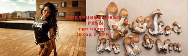 ECSTASY Иннополис