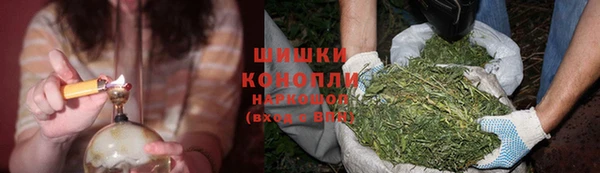 ECSTASY Иннополис
