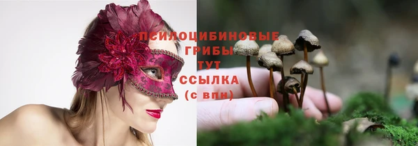 ECSTASY Иннополис