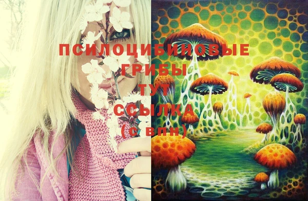 ECSTASY Иннополис