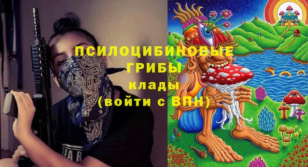 марки lsd Инсар