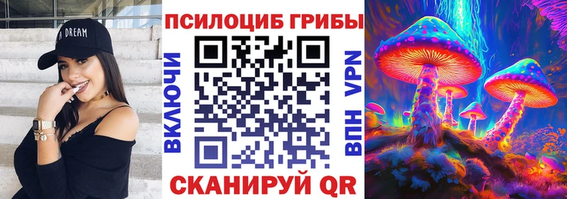 Псилоцибиновые грибы Magic Shrooms  Купить где  Высоцк 